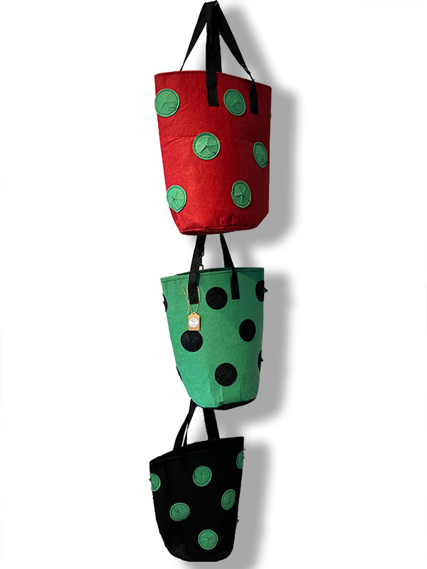 BAGS